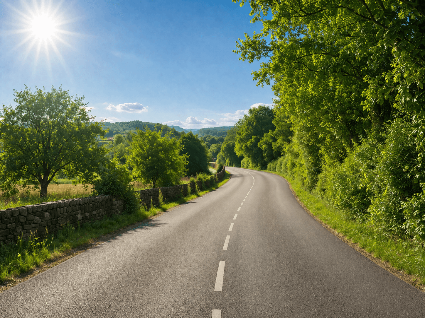 Country road on a bright summer day